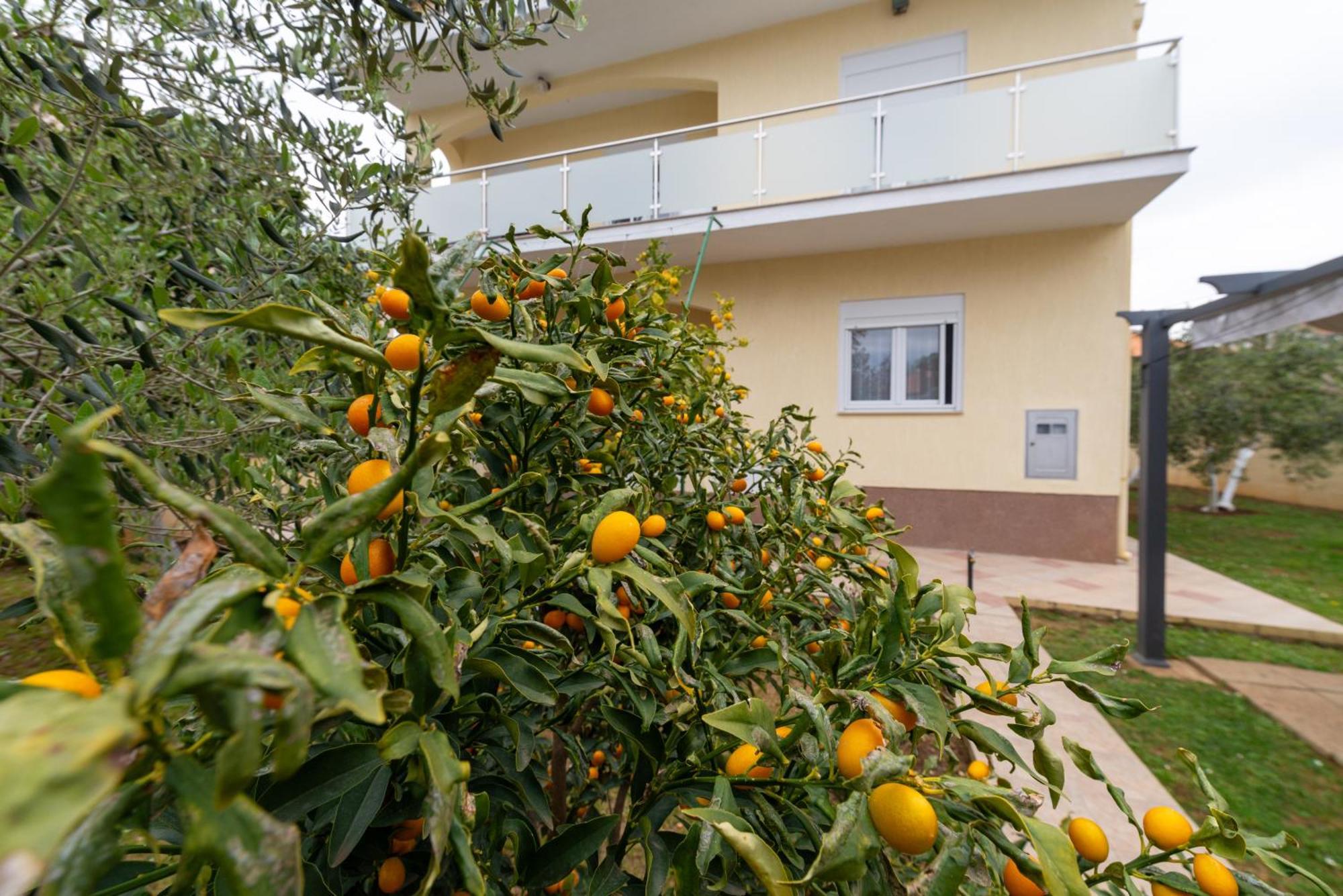 Villa K&F Borik Zadar Exteriér fotografie
